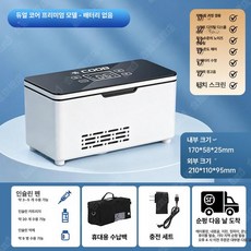 의약품냉장고 케이스 이동식 수납 플러그인모델 여행 저장고 가정용, 듀얼코어 플래그십 차량 + 가정용 플러그인 내장 없음, 기본 색상