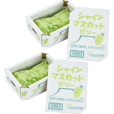 AS Foods 샤인머스캣 젤리 20개입 박스, 2개