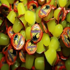 장수풍뎅이 사슴벌레 전용 곤충젤리 먹이 음식 100 50 20개 모음 참좋은굼벵이 농장, 메가벅스 바이오젤리 20개, 메가벅스 바이오젤리