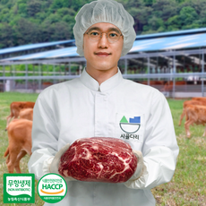 시골다리 무항생제 친환경 한우 암소 소고기 200g, 2등급, 채끝, 1개