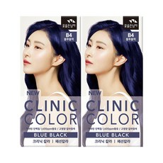 꽃을든남자 크리닉 컬러 염색약, 2개, 블루블랙