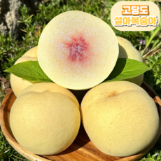 [천상의맛] 고당도 설아복숭아 농장직송, 1개, 설아복숭아 가정용 500g