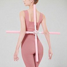 굽은등 바른자세 밸런스바 홈트 요가 척추 스트레칭봉, 블루