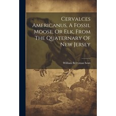 (영문도서) Cervalces Americanus A Fossil Moose Or Elk From The Quaternary Of New Jersey Paperback, Legare Street Press, English, 9781022574649