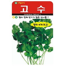 아람종묘 고수 씨앗 300립, 1개
