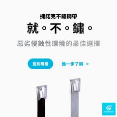 GIANTLOK 不鏽鋼束帶 惡劣侵蝕性環境的選擇, 1個