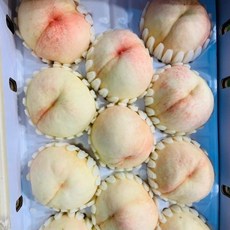 복숭아유명 접목묘목 1주 튼튼한 정품 조경수 유실수, 쿠팡 본상품선택, 1개