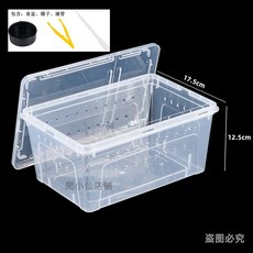 飼養盒 曬背燈 曬背台 兩棲角蛙烏龜飼養盒 乾溼分離平台 造景曬台 掌上名蛛人渣盒 鼠婦盒 烏龜缸 帶曬臺造景 蠑螈缸, 1個, （愛尚爬）中號透明飼養盒+食盆+滴管+鑷