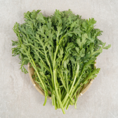 방금 재배한 신선한 국내산 쑥갓 정품, 1박스, 200g