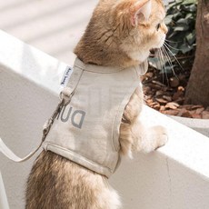 全店折扣 貓咪牽引繩貓繩子防掙脫神器背心式溜貓繩子貓咪外出網紅遛貓繩子, 1個, 【反光字】米色,S碼【建議0.5-1.5公斤】