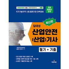 집대성 최신판 산업안전 (산업)기사 필기+기출, 피앤피북