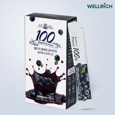 웰리치 통째로 갈아만든 블루베리 퓨레 100, 14개, 20g