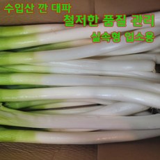 십이계절 수입 대파 깐대파 실속형 업소용 대용량, 10kg, 1개