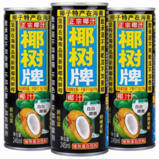 하이난 코코넛 주스, 245ml, 1개