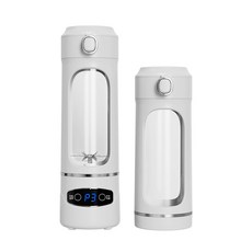 스타일닥터 소형 핸디블렌더 600ml 무선 휴대용 얼음 믹서기 야외 전동 주스 컵, AJ02-화이트