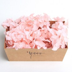 화연양화 프리저브드플라워 블루밍 케이스 수국 30색, 02 페일핑크