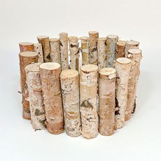 [왓위셀] 자작나무 울타리 원목 펜스 텃밭 정원 화단꾸미기 4종, 02. 중(높이 8CM)