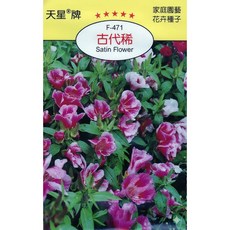 天星牌 古代稀緞花種子 (Satin Flower) - 野菜部屋 Y36, 1包