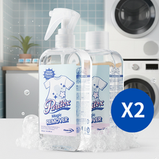 퓨리톡스 오염 리무버 얼룩 제거제 300ml 2개입, 2개