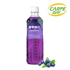 까르페 블루베리 1000ml 1개 액상음료 과일 희석 원액음료, 1L
