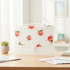 서류가방 복숭아 도큐먼트 확장형 파일, 1개