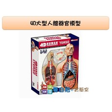 哥白尼的實驗室/科學玩具/4D大型人體器官模型/正版Fame Master/所有器官皆可拆解/生物教學模型, 1個
