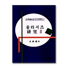 율리시즈 연구 2, 고려대학교출판부, 김종건 저
