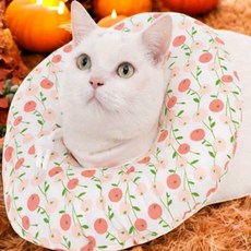 중성화 부상 반려동물 기방지 목쿠션 강아지넥쿠션 반려견넥카라 고양이목보호대 펫쿠션, 레드-S