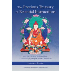 (外文書)The Precious Treasury of Essential Instructions: Explanations on the Treasury of... Paperback, Shambhala, English