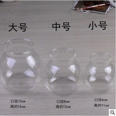 【微景小舖】微景觀生態玻璃瓶 永生花許願瓶 多肉植物玻璃花盆 苔蘚微景觀DIY 創意迷你植物綠植盆栽手工製作 木塞玻璃瓶, 中號 13.5*13.5cm