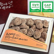 [웰굿]무농약GAP인증 표고버섯 사각흑화고세트(흑화고450g), 1개
