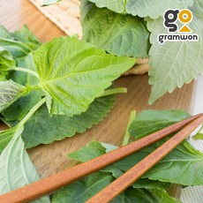 어린 깻잎순 2KG 국내산 생 깻순 깨순, 손질 깻잎순 2kg, 1개