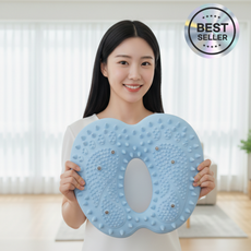 코어즈 웰니스텝 가정용 에어 지압 스텝퍼 천국의계단, 블루