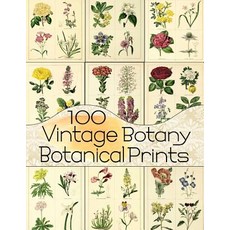 (영문도서) 100 Vintage Botany Botanical Prints, Independently Published