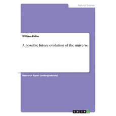 A possible future evolution of the universe Paperback, Grin Verlag, English, 9783668664678