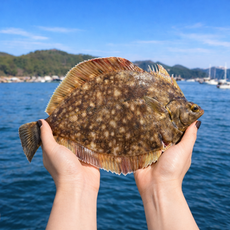 제철 봄 도다리 쑥국용 손질 도다리 전복 쑥 세트, 3세트, 급냉 도다리 2-4미 1kg 쑥 100g 전복 200g