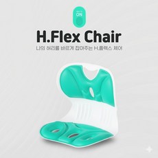 [가정의달 특가] 바른자세 허리교정 등받이 + 통기성 쿨링 겔방석 풀세트, 민트