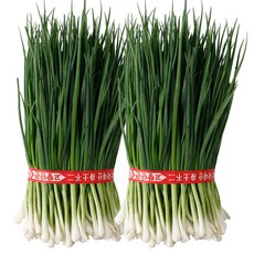 국내산 최상급 깐쪽파 파김치용 특품 당일경매, 1개, 2kg