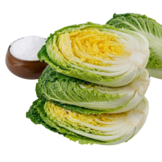 (도착일선택) HACCP 해남절임배추 20kg(6~8포기)/ 천일염 100% 국내산재료사용/ 절인배추 김장배추, 20kg, 1개