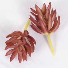 인공 다육 식물 녹색 장식 작은 장 실내 사무실 화분 분재 정원 배열 1, 1Pcs 25, 1개