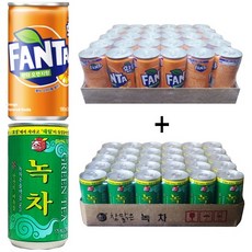 환타오렌지 190ml(30캔) + 참맑은 녹차 175ml(30캔), 60개, 190ml