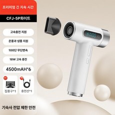 뷰코 무선드라이기 충전모델 프리볼트 순펑직행 스탠다드, 롱배터리 프로 27000mAh A, 기본 모델명/품번