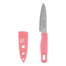 큐집과도(10개 묶음) 스텐 리빙코리아 과일칼 doi+8689ii