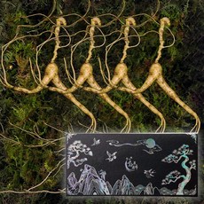 화려산삼 산삼 20년근 야생방치삼 자개선물세트, 3세트, 4개입