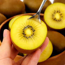 [재구매율 1위] 초고당도 국내산 골드키위, 1세트, 새콤달콤 골드키위 5kg 중과