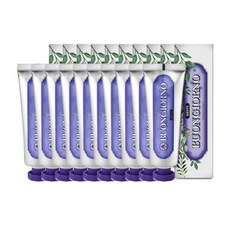 덴티본조르노 허니향 치약 잇몸케어, 100g, 24개