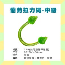 SUMCARE 勝美爾 樂齡葡萄拉力繩 台灣製 訓練器材, 1個, 樂齡葡萄拉力繩_綠_中級