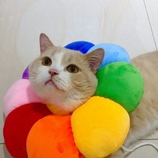 寵物防舔頭套 貓狗適用 舒適透氣 傷口恢復期必備 可愛造型, 蜜糖甜甜圈,XS, 1個