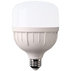 비츠온 LED T-벌브 30W E26, 주광색, 1개