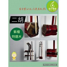 柚子樂器 紫檀木二胡 進階專業二胡, 1個